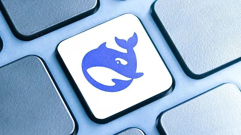 DeepSeek api开放平台接口复印件